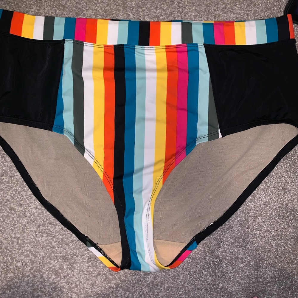 Lane Bryant (Cacique): Stripe Full Brief Swim Bottom